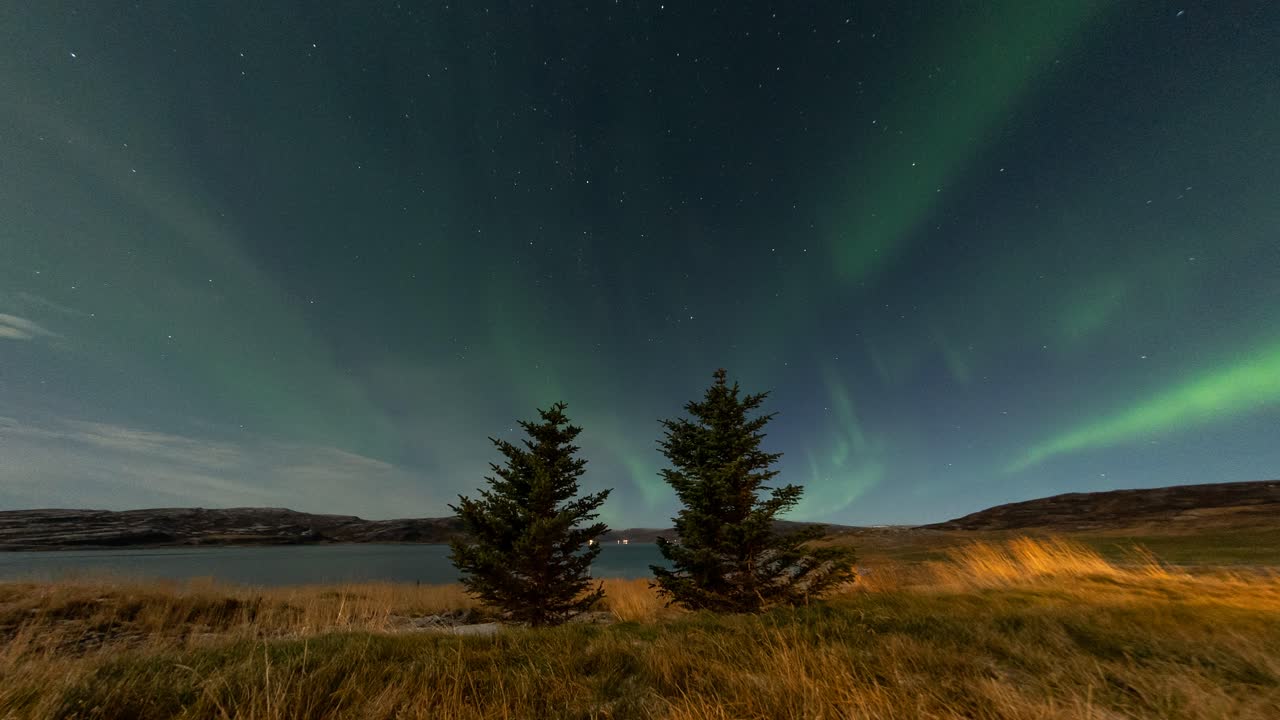 aurora boreal verde bailando sobre dos pinos, lapso de tiempo estable