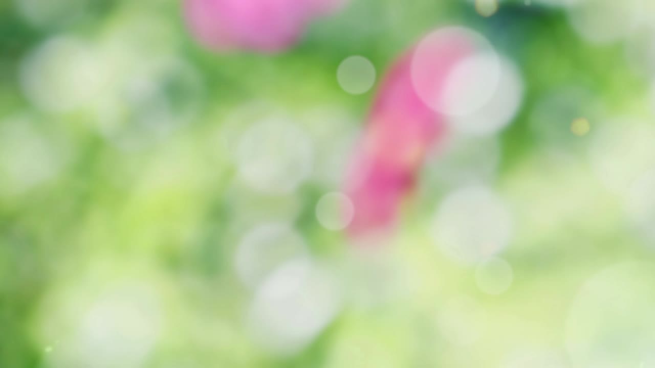 fondo de resorte abstracto con bokeh