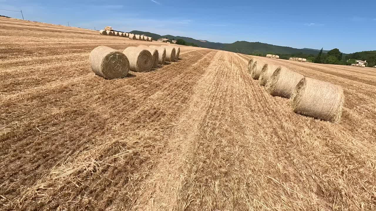 Smooth FPV drone footage captures expansive views of a harvested cereal field with neatly stacked hay bales, showcasing the golden tones of the drying straw under a clear sky.