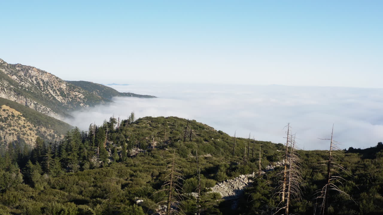 amplia vista aérea de montañas con pinos sobre el mar de nubes, horizonte en la distancia