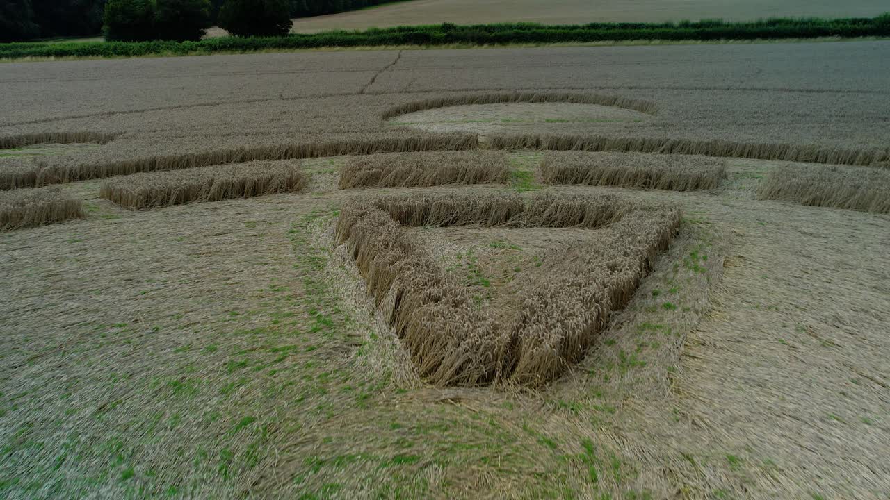 campo de cebada dorada swarraton extraño closeup crop circle vista aérea órbita baja adelante volando por encima de las tierras de cultivo de hampshire