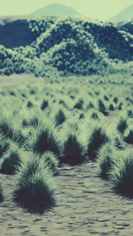 serene grassland landscape with hills