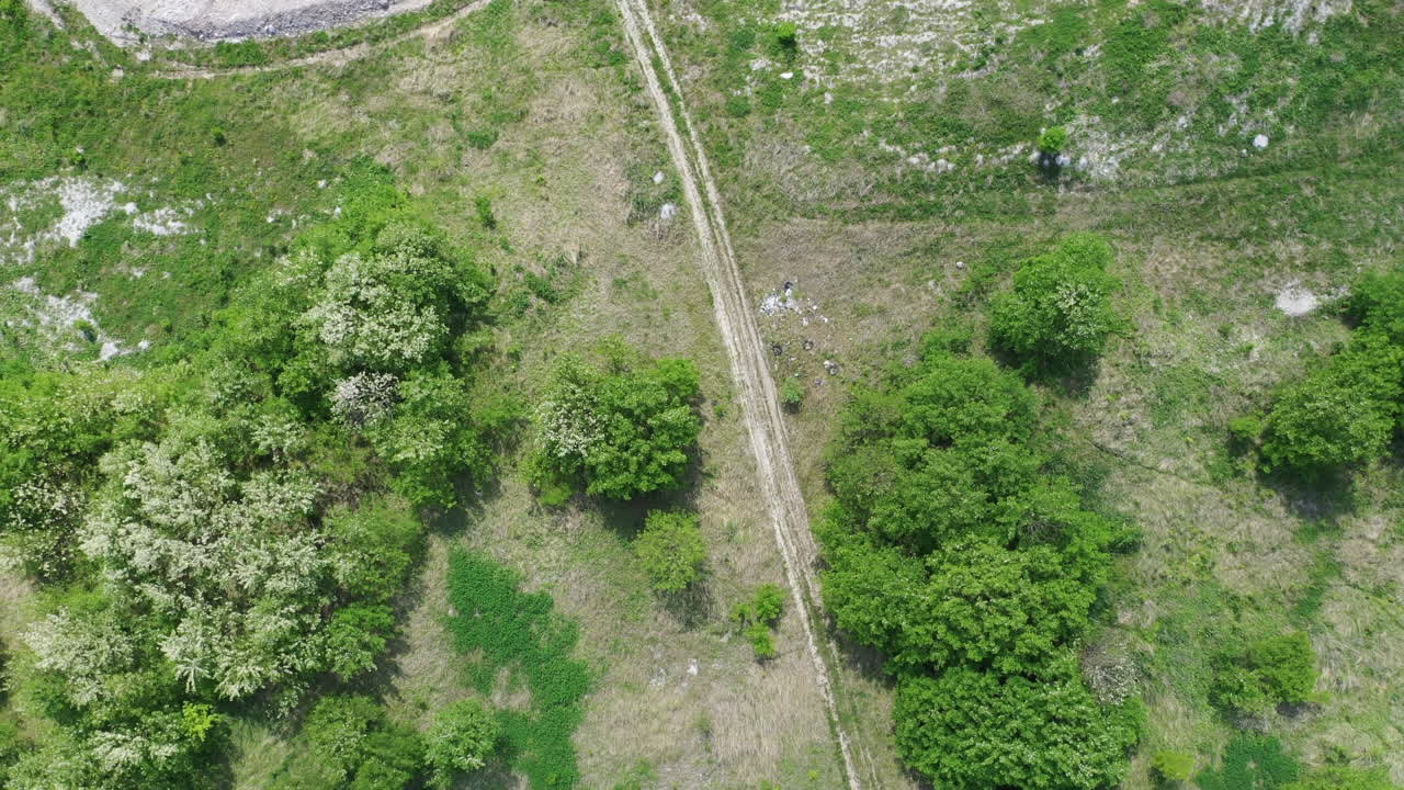 vista aérea de la tierra agrícola en el día de verano