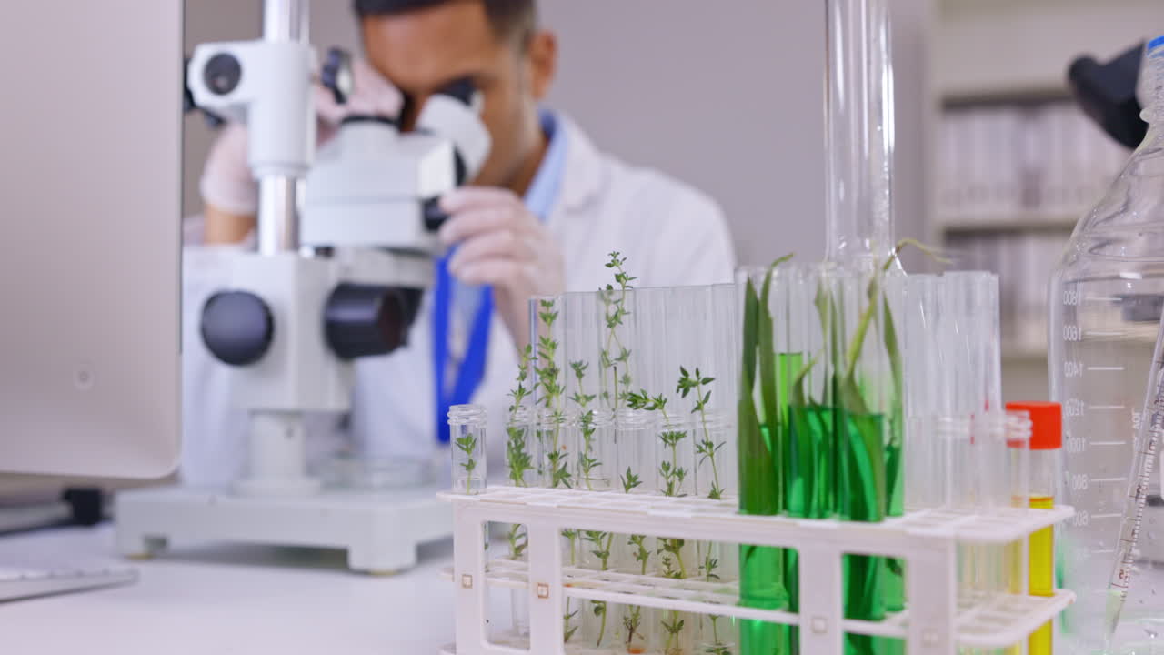 ciencia de la planta, microscopio y un hombre