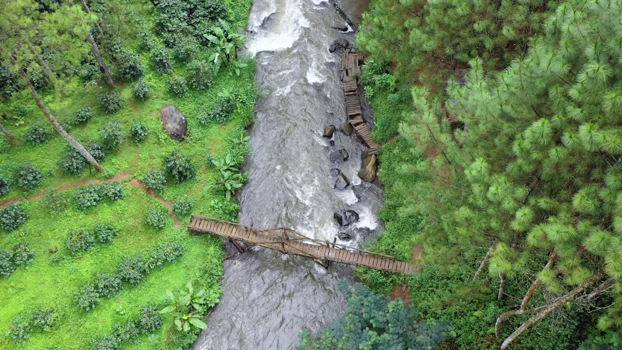 Bridge over river inside dense woodland forest, aerial over tree canopy