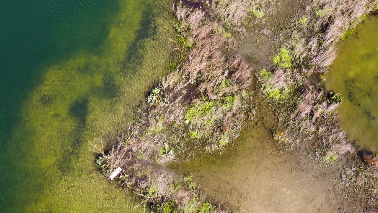 toma aérea de la isla del lago en norfolk pez carpa