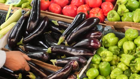 fresh eggplant and green peppers at a market