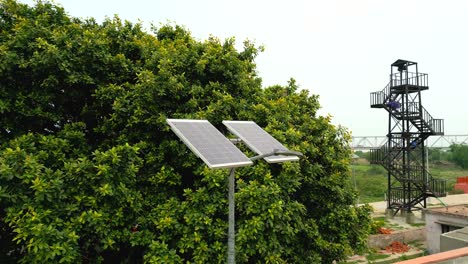 el panel solar se encuentra cerca del árbol