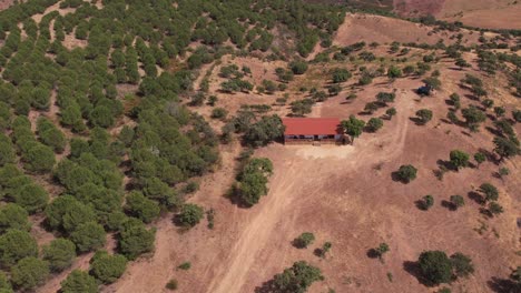 Malerischer-Blick-Auf-Ein-Bauernhaus-Auf-Dem-Hügel-Mit-Dichter-Vegetation-Im-Alentejo,-Portugal