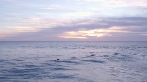 Man-is-paddling-on-surfboard-in-ocean-waiting-for-a-wave-to-catch,-aerial