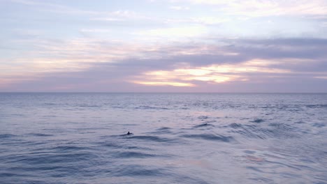 man is paddling on surfboard in ocean waiting for a wave to catch, aerial