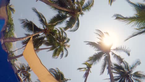 Palm-trees-viewed-from-inside-a-pool-under-the-water-ripples---Slow-Motion