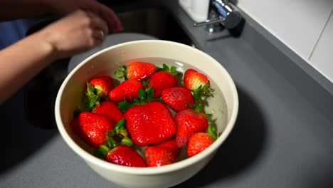 hand submerges fresh strawberries in bowl of clean water during food preparation