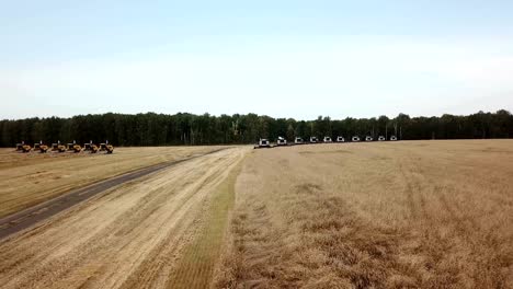 harvesting on the field