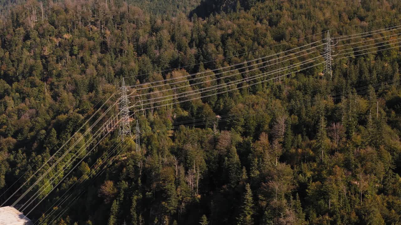 altos pilares se paran orgullosos por encima de las copas de los árboles del bosque que llevan cables