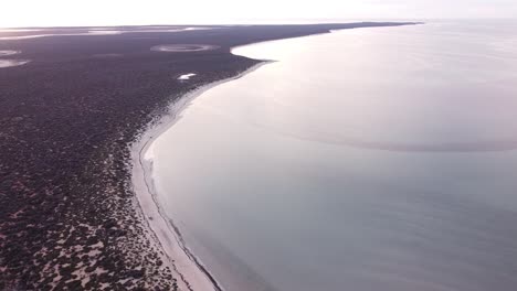 shark bay’s waters, islands and peninsulas have a number of exceptional natural features, including one of the largest seagrass beds in the world