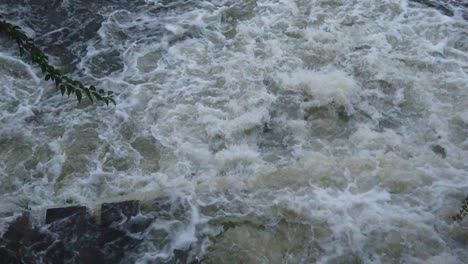 slow motion fast water stream, river stream