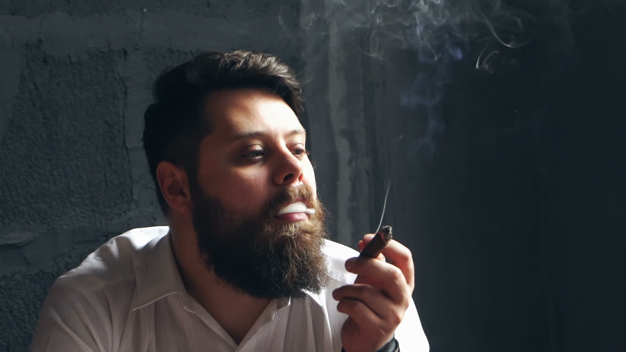 Stylish man with cigar. Studio view of handsome man smoking cuban cigar in studio