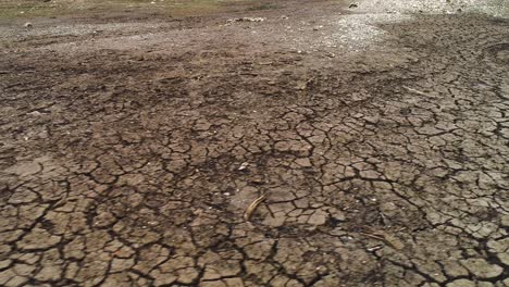 tierra seca y agrietada