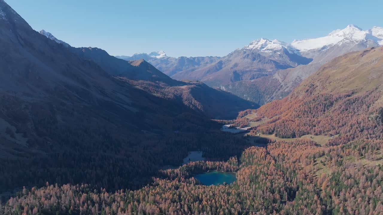 Veduta aerea di uno splendido lago alpino circondato da foreste di larici autunnali