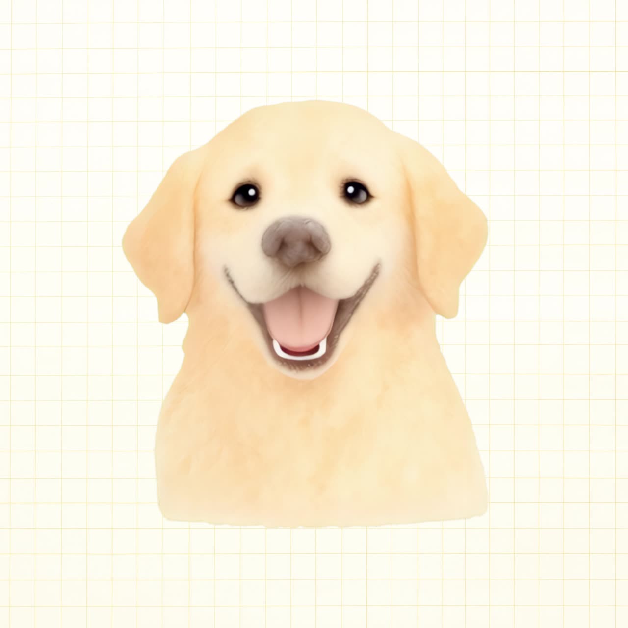 Smiling Labrador animation isolated asset, transparent 4K video, alpha channel, ProRes 4444