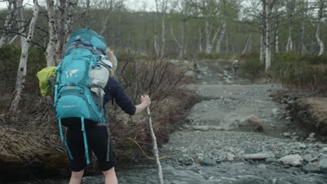 blond female hiker crossing a fast flowing river on the kungsleden in the swedish mountains, backpacking in the forest, close-up