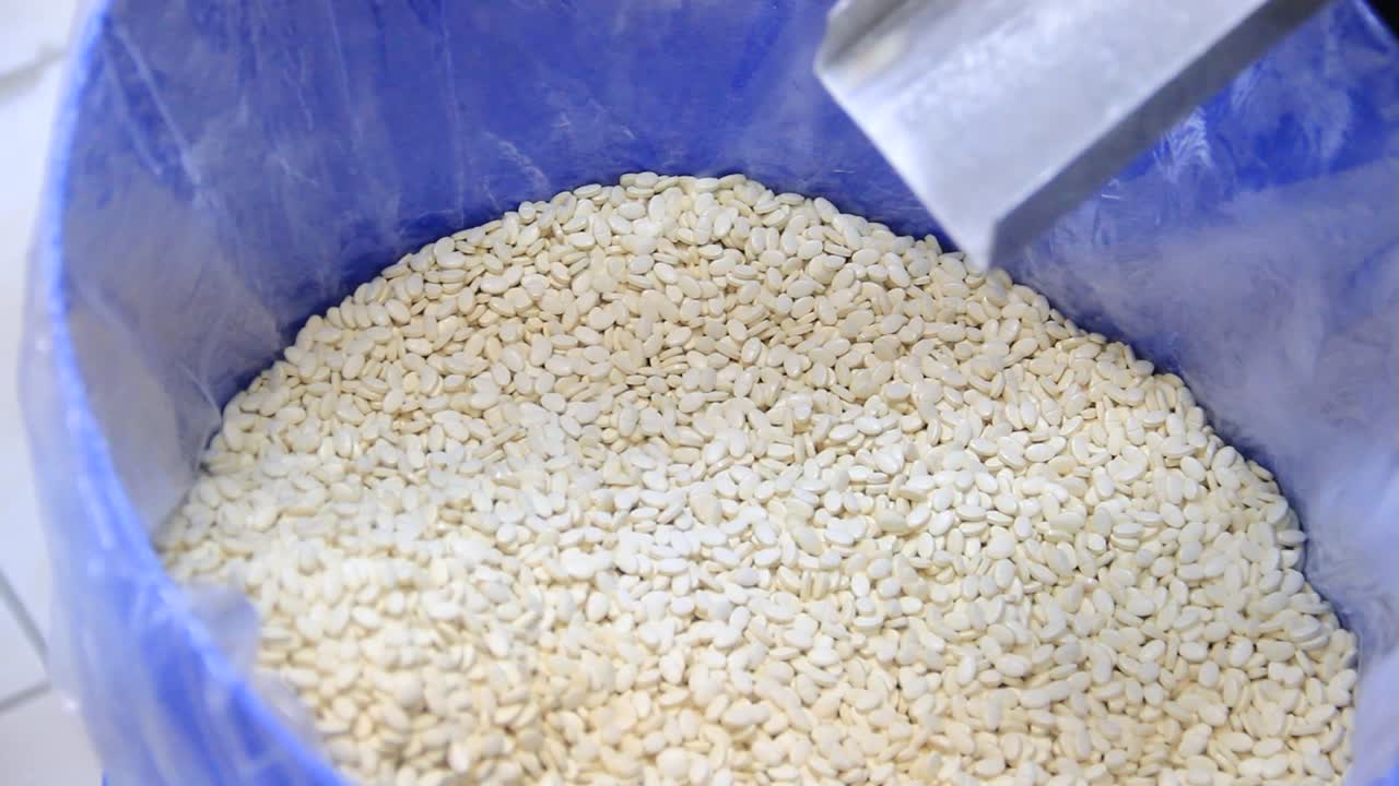 약국 공장 작업장의 보관 용기에 흰색 알약이 떨어집니다.