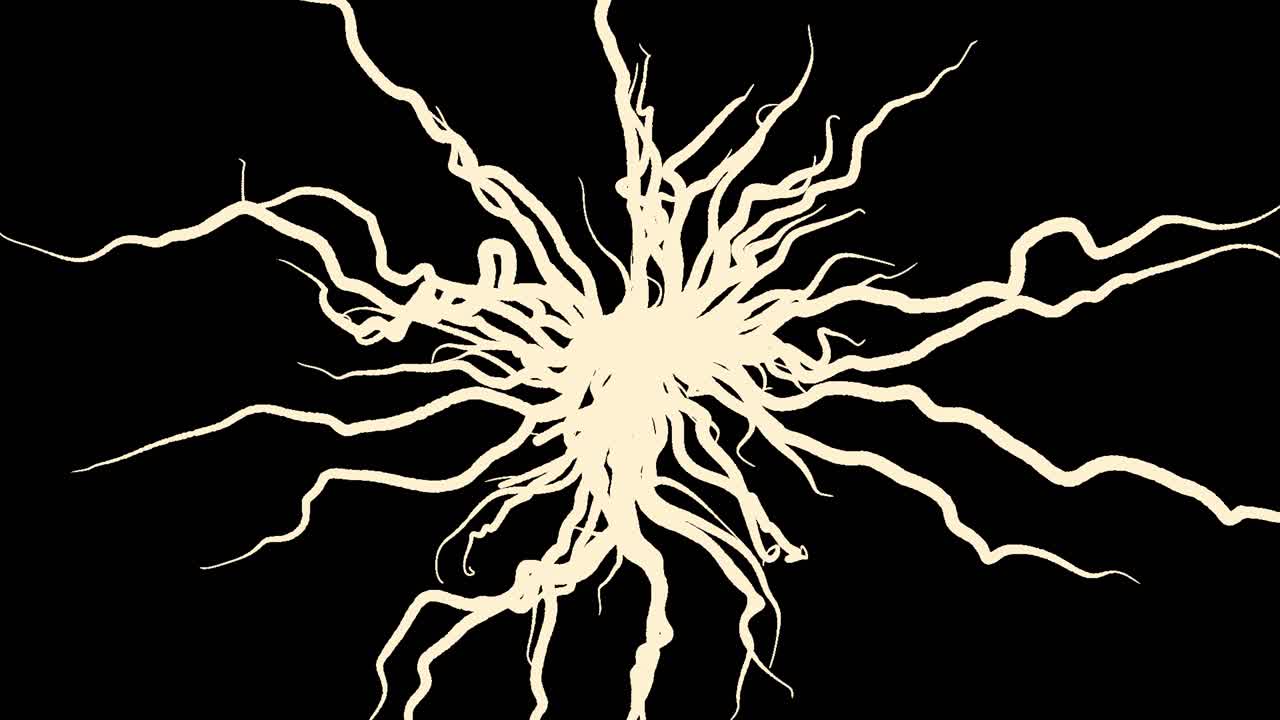 raíces de árboles abstractas