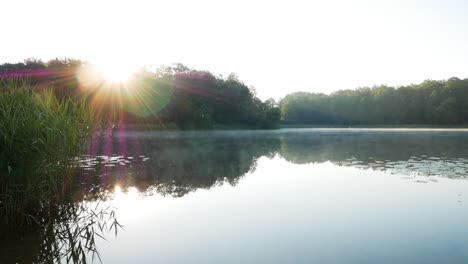 fog creeping along the surface of the lake while sun shows up from behind the trees in early morning