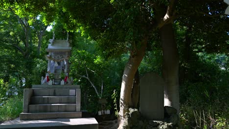 caminando por hermosos y misteriosos templos en japón.