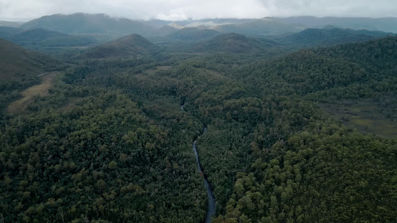 el río gordon con abundante selva tropical, el parque nacional de franklin-gordon wild rivers en el oeste de tasmania, australia