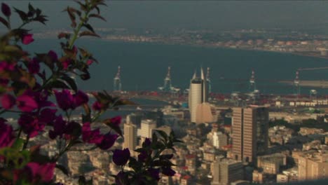 long shot of haifa israel with the port in the distance