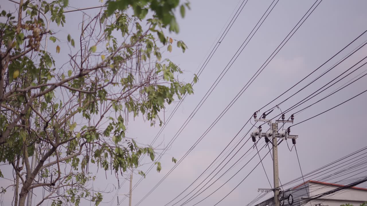 Cityscape with Power Lines and Trees
