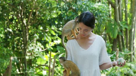 woman and squirrel monkey