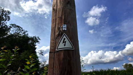 closeup view of high voltage signboard mounted on tree bark during daytime