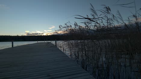 empty jetty and swaying reed just after sunset, low, static