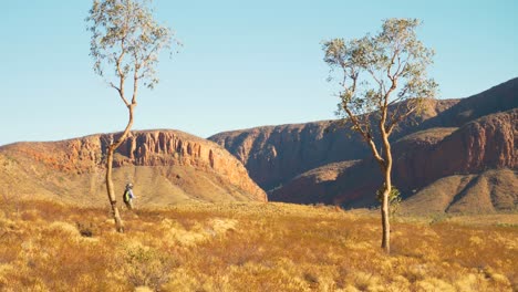 Distant-hiker-walks-past-native-trees-in-front-of-cliffs,-Australia