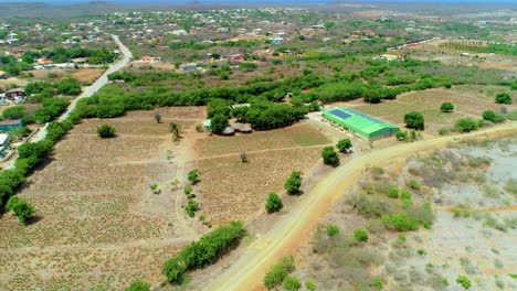 drone de 4k inclinado hacia abajo de la granja de plantación de aloe vera en curacao