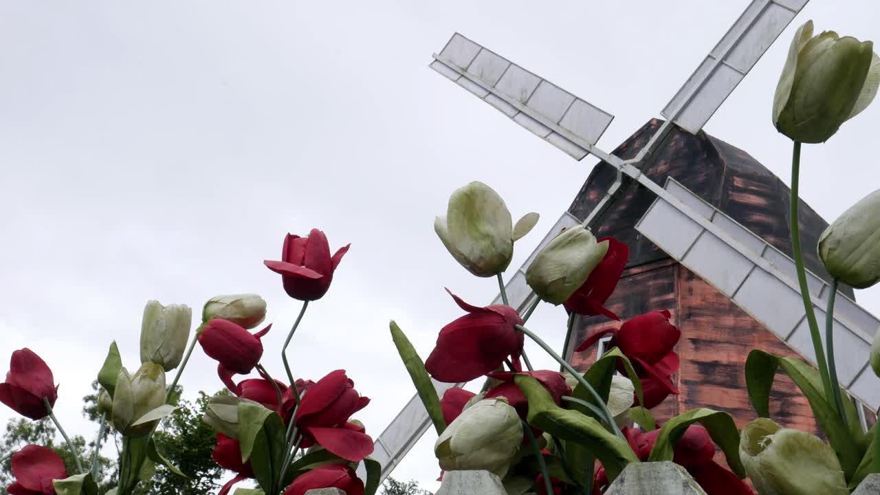 Traditionelt hollandsk landskab med typisk hollandsk vindmølle og blomster, der svajer i vinden.