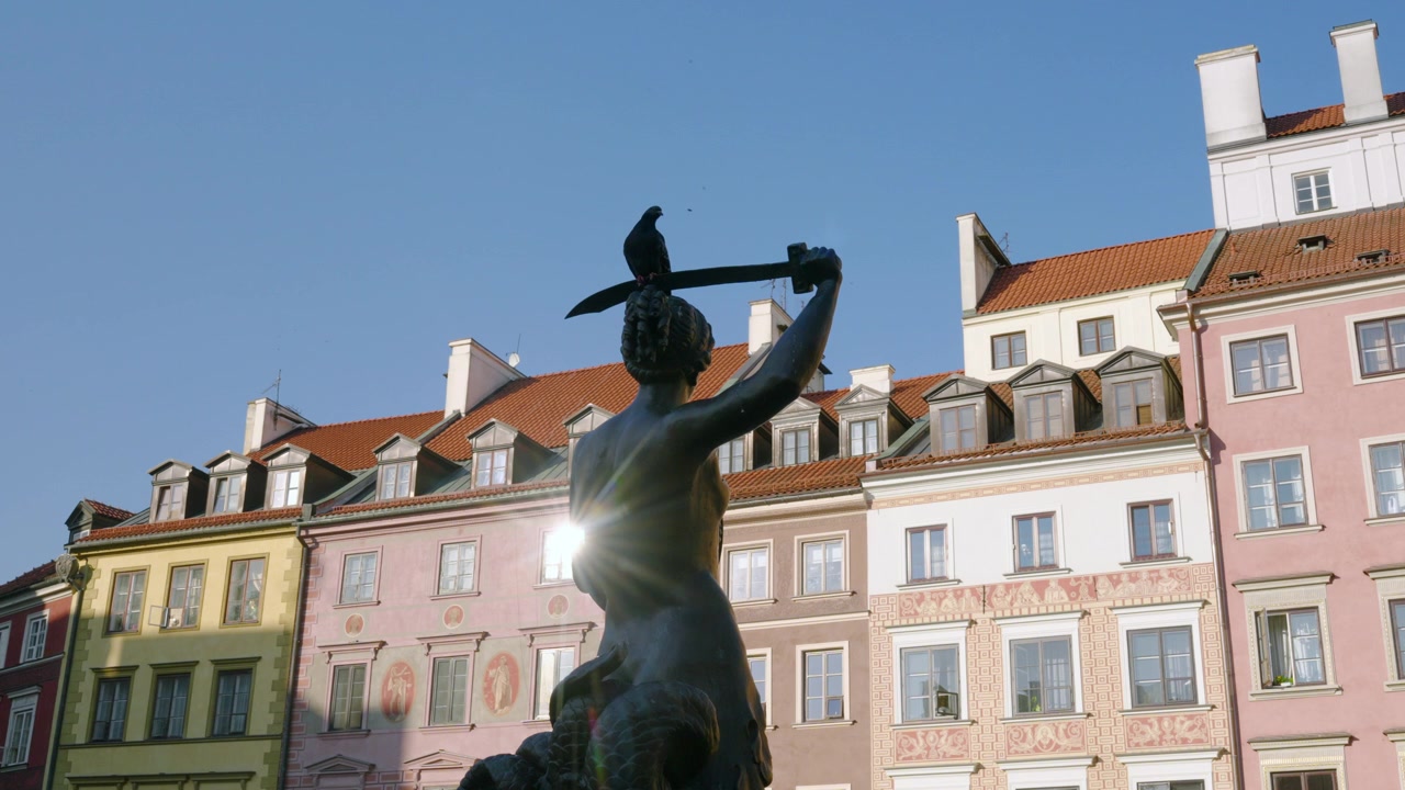 Uccello che vola via dal Monumento della Sirena (Pomnik Syreny) nella Piazza del Mercato della Città Vecchia di Varsavia, Polonia. - ripresa statica.