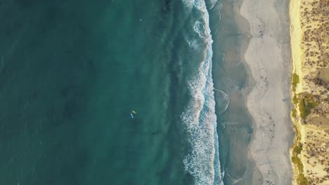 cinematic top down aerial view of surfers in the ocean - california coastline - san diego