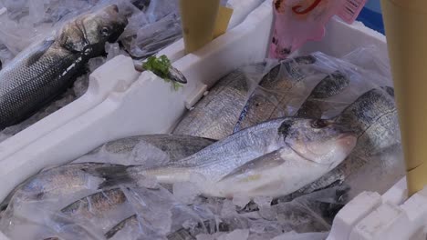 Pesca-Fresca-De-Besugo-Enfriada-Sobre-Hielo-En-El-Mercado-De-Pescadería-De-Nápoles-De-Cerca