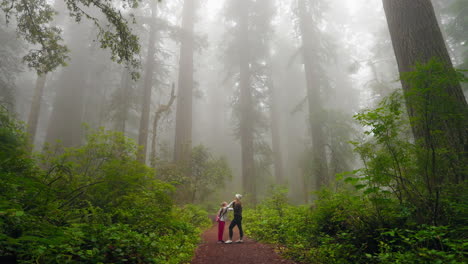 mother and daughter spend a moment bonding together among magnificent redwood trees