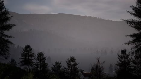a deer eating in a dark pine forest with mist and mountain range at the background, 3d animation, animated scene, camera dolly up