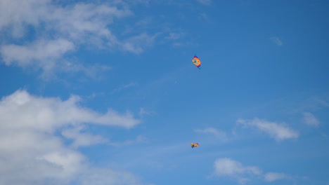 kites in a blue sky