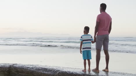 African-american-father-holding-hands-with-son-on-sunny-beach