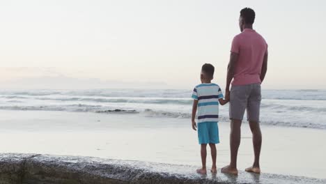 african american father holding hands with son on sunny beach