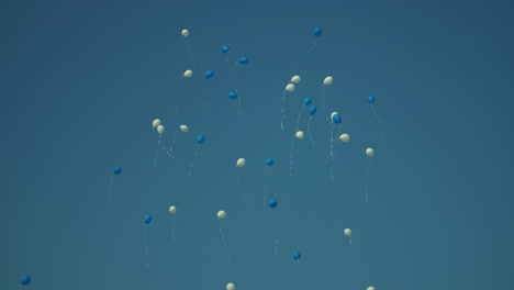 holiday balloons flying in blue sky. birthday white and blue balloons in sky