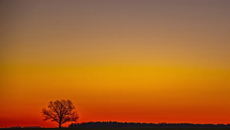 Paisaje-Desolado-árbol-Contrasta-Levantando-Sol-Brillo-Hora-Dorada-Cielo-Lapso-De-Tiempo