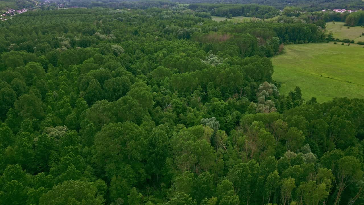 el bosque de giverny, francia. drones aéreos hacia atrás.